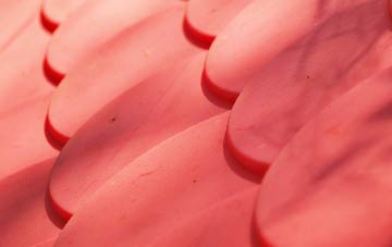 Low Dinsdale plastic roof costs