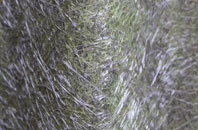 Low Dinsdale fibreglass roof work