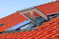 Low Dinsdale roof window